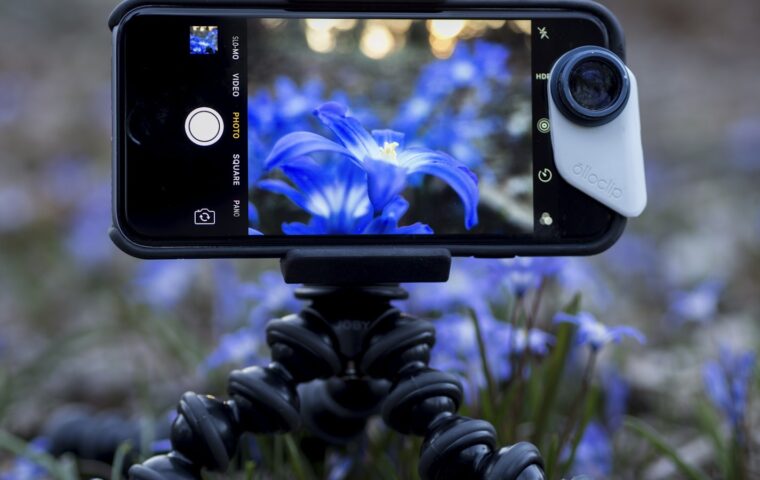 Phone Camera Specs Beyond Megapixels