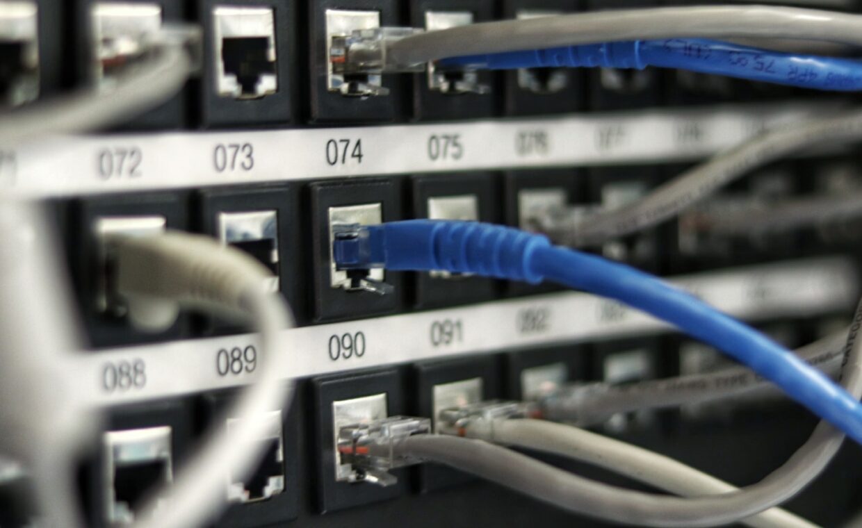 Network cables patch, photographed for a technology article.